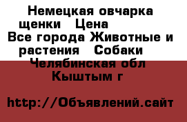 Немецкая овчарка щенки › Цена ­ 20 000 - Все города Животные и растения » Собаки   . Челябинская обл.,Кыштым г.